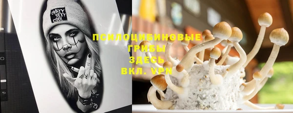 ешки Каменногорск