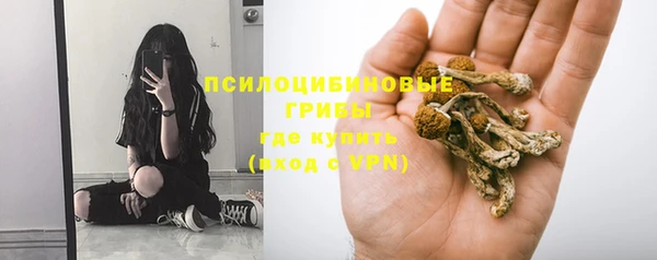 ешки Каменногорск