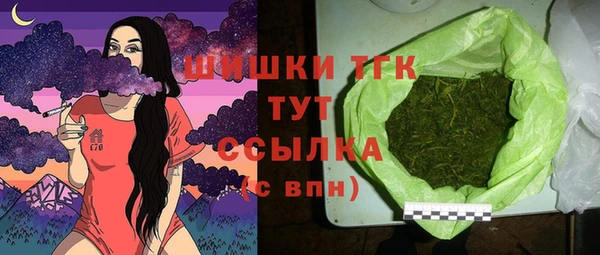 ешки Каменногорск