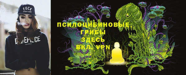 ешки Каменногорск