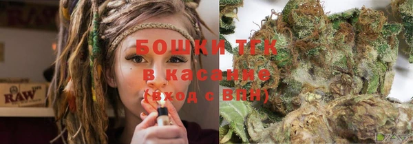 ешки Каменногорск