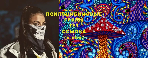 ешки Каменногорск